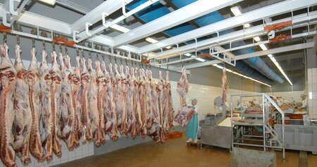 Дезинсекция на мясокомбинате в Кашире, цены на услуги