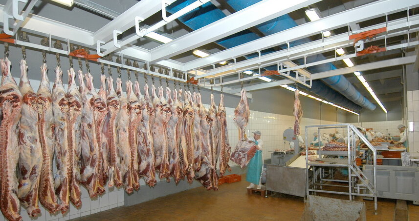 Дезинсекция на мясокомбинате в Кашире, цены на услуги